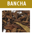 Bancha Oujicha th� grill� japonais