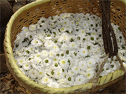 Un panier de fleurs coupées