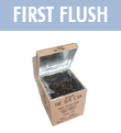 Darjeeling Rohini First Flush 2008