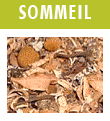 Infusion sommeil marchand de sable