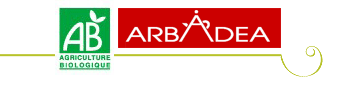 Rooibos BIO Arbadea