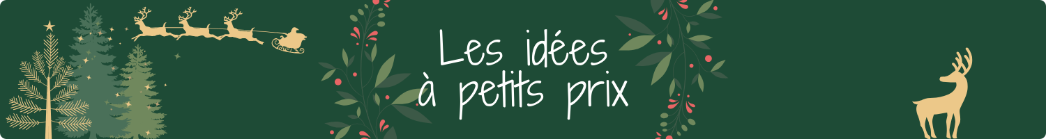 Idées cadeaux à petits prix