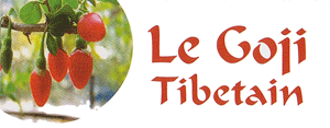 Le Goji tibétain