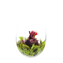 Fleur de thé ROUGE ANCESTRAL