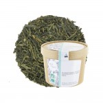 Infusettes x25 Sencha BIO