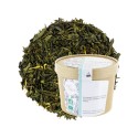 Infusettes x25 Sencha abricot caramel