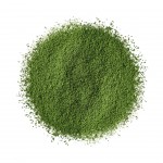 Matcha poudre de jade BIO