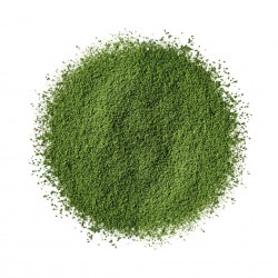 Matcha poudre de jade BIO