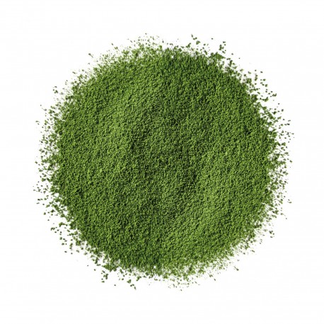 Matcha poudre de jade BIO