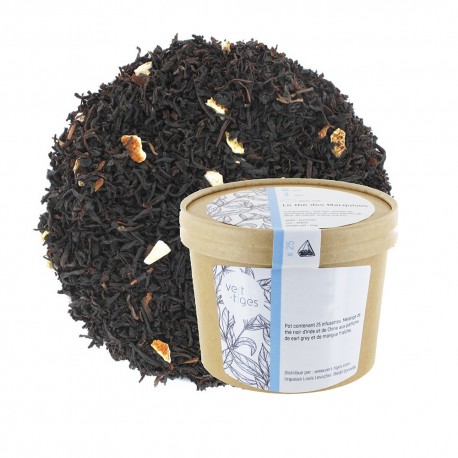 Infusettes x25 Thé GOUT RUSSE BIO