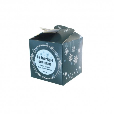 Cube x20 infusettes La fabrique des lutins