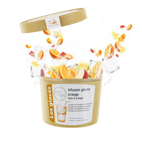 Infusion Glacée Orange x5 Infusettes