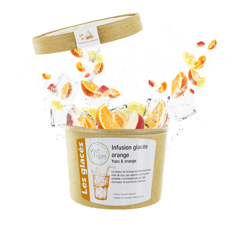 Infusion Glacée Orange x5 Infusettes