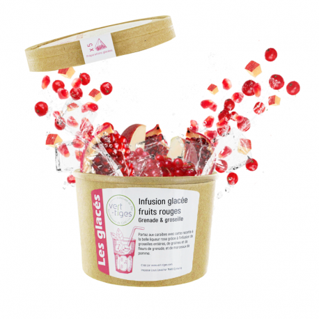Infusion Glacée Fruits Rouges x5 Infusettes