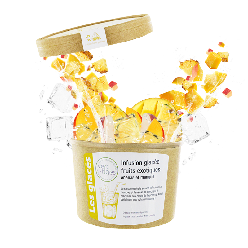 Infusion Glacée Fruits Exotiques x5 Infusettes