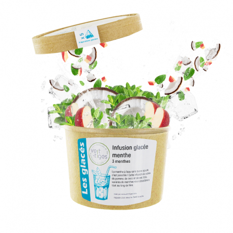 Infusion Glacée Menthe x5 Infusettes