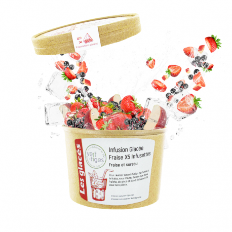 Infusion Glacée Fraise x5 Infusettes