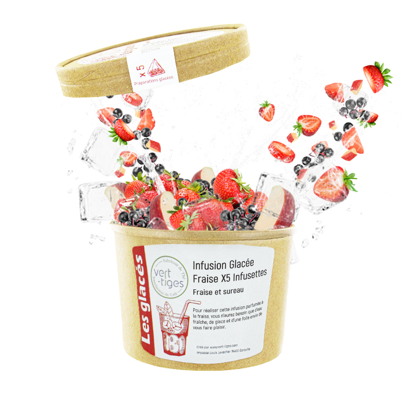 Infusion Glacée Fraise x5 Infusettes