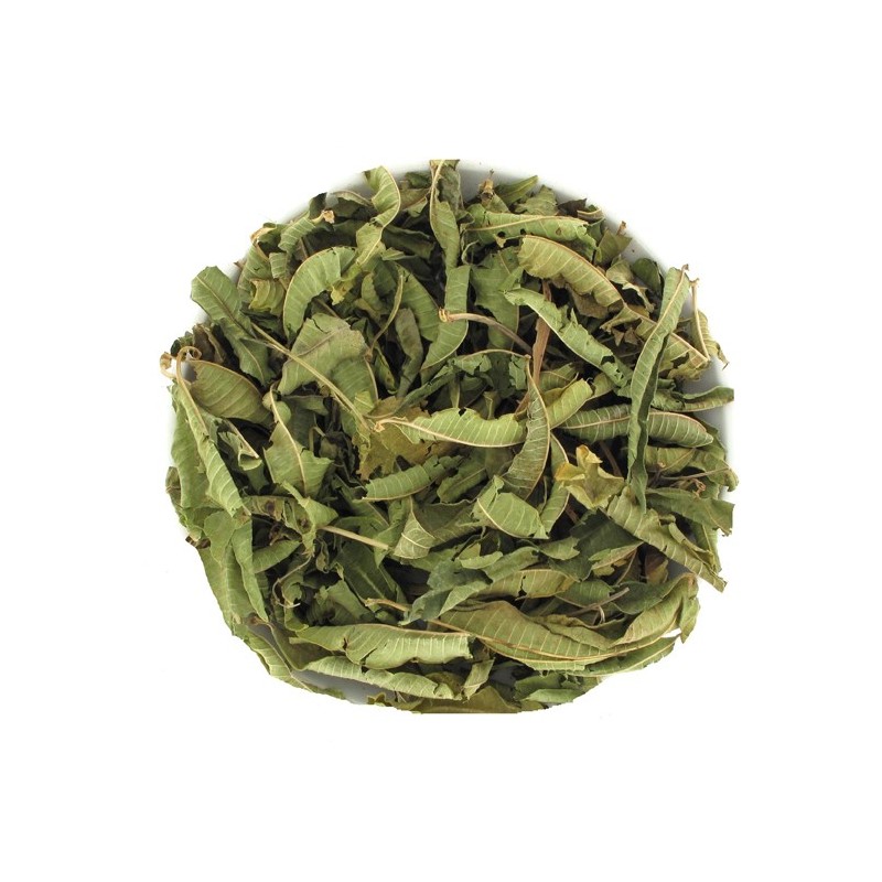 Tisane Verveine