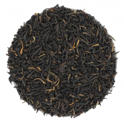 Yunnan FOP BIO*