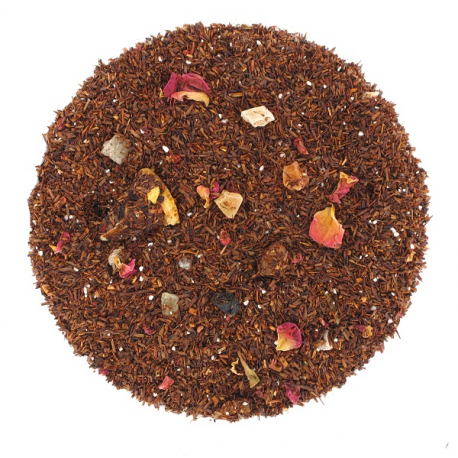 Rooibos Prince des caraïbes