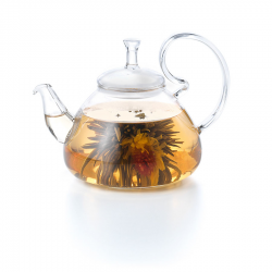 Infuseur verre SIMBAD