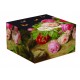 Coffret déjeuner ROSIER FUSHIA