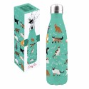 Coffret bouteille isotherme CHAT CH'BOIT!