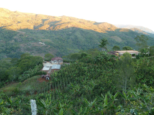 La plantation de Don Jimenez