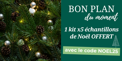 Kit 5 échantillons de Noël offert