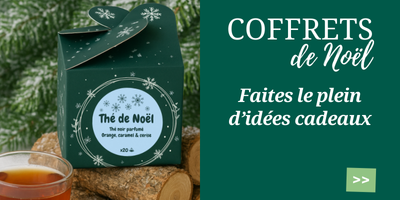 Vente flash accessoires No&euml;l